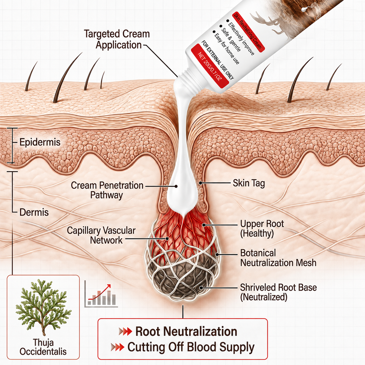 🇺🇸👨‍⚕️✨ Divifit® Scorpion Skin Care Cream | Advanced Skin Smoothing Treatment for Spots & Uneven Skin Appearance